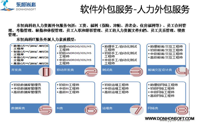 軟件和IT技術(shù)駐場(chǎng)外包服務(wù) 運(yùn)維工程師的價(jià)值與外包優(yōu)勢(shì)解析